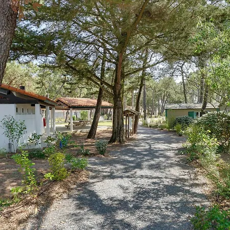 In With Wifi Nyaraló *