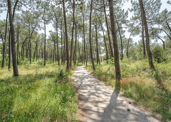 In With Wifi Casa vacanze *